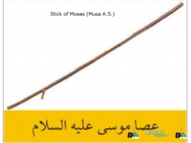 Stick of Musa (pbuh)